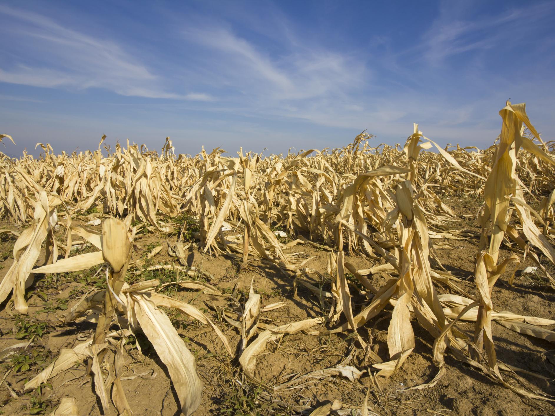Climate change, water crisis hurting Africa’s poorest