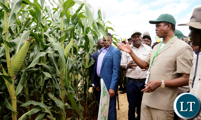 Zambian agriculture business launches $81 mln farmer financing scheme