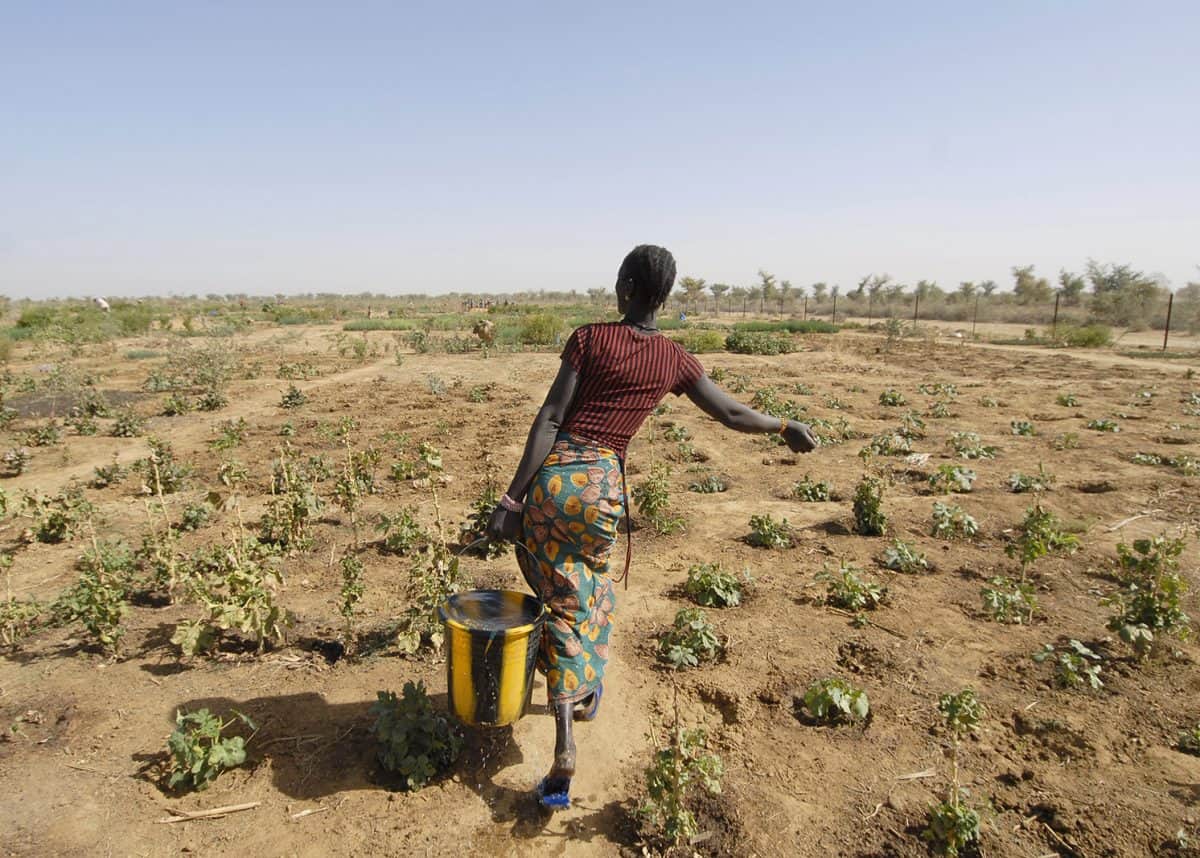Climate change and southern Africa’s emerging food crisis
