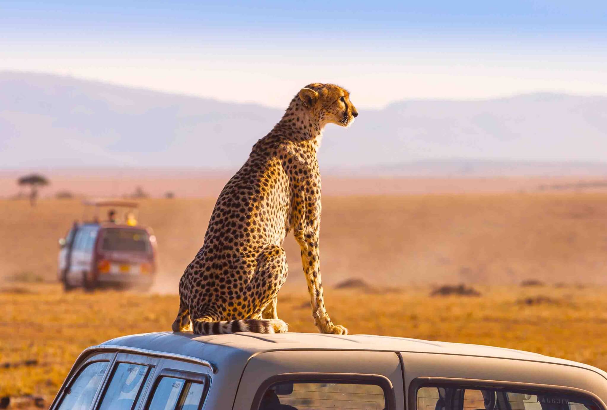 South Africa’s tourism industry is on indefinite hold – even though some hotels are hosting clandestine stays