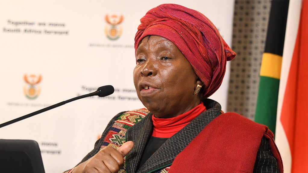 Dlamini-Zuma outlines new governance model for South Africa