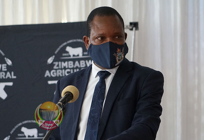 Zimbabwe to record bumper wheat harvest