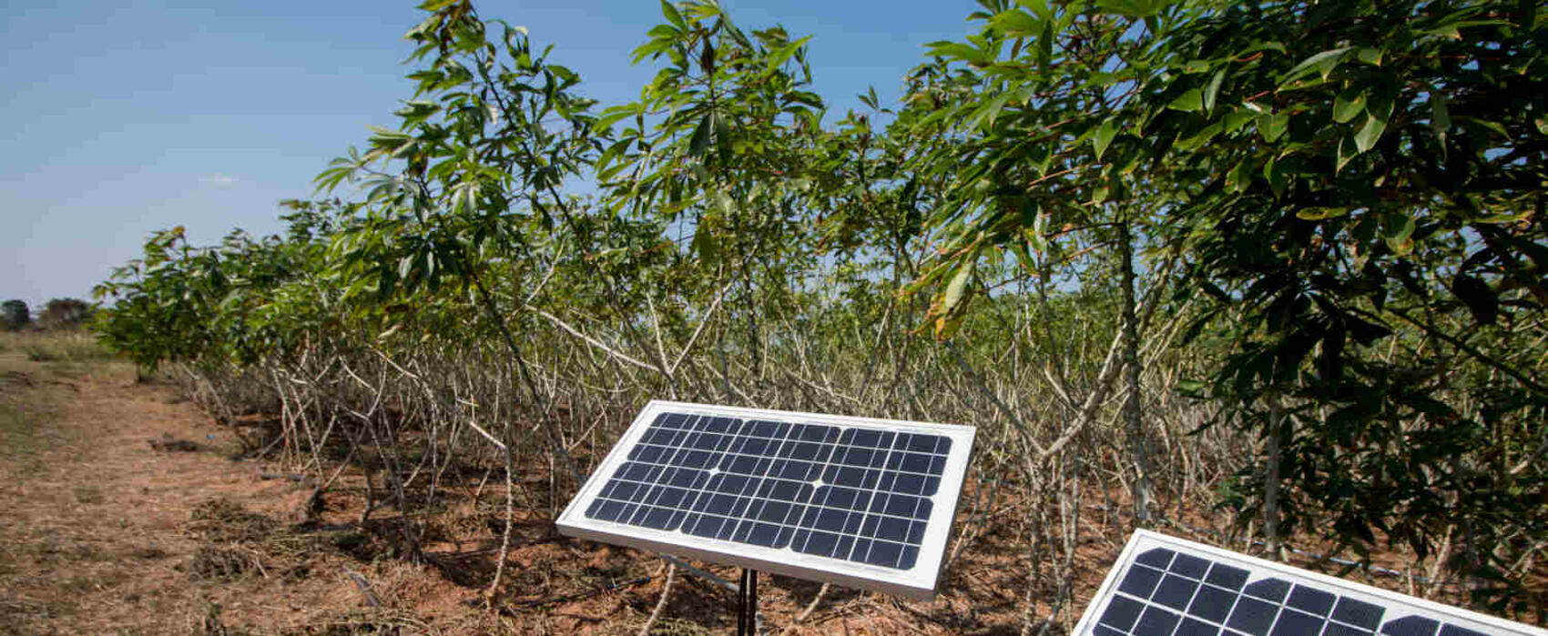 Solar technology helps women farmers in Tanzania cut post-harvest losses