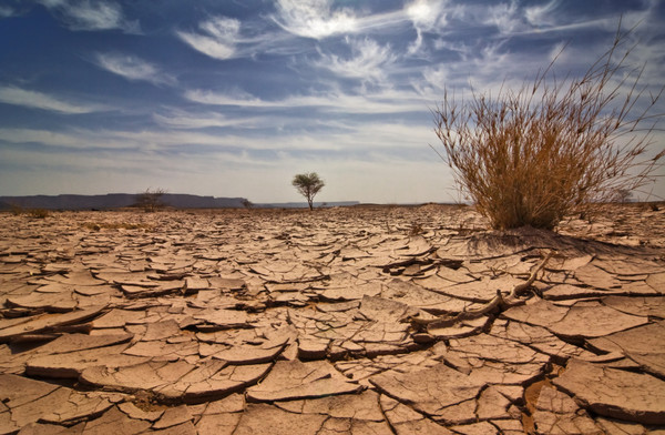 Climate change fuels infectious diseases in East  Africa: Experts