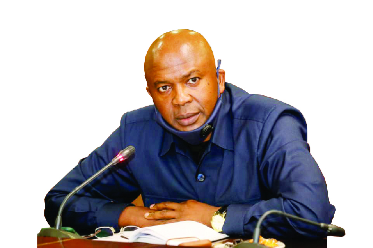 Namibian defence minister resigns after corruption allegations