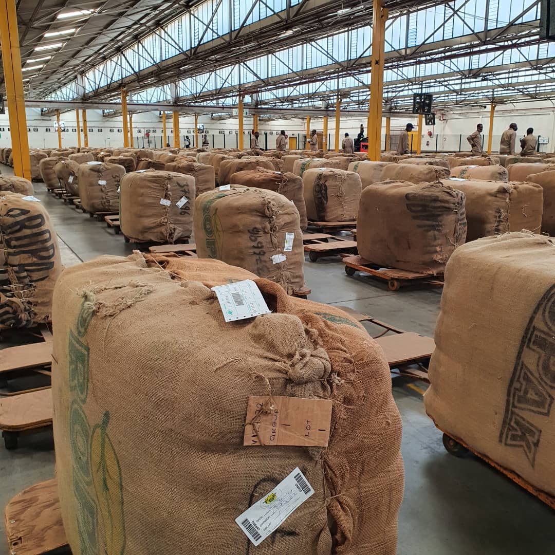 Zimbabwe’s 2021 tobacco marketing season commences with high hopes