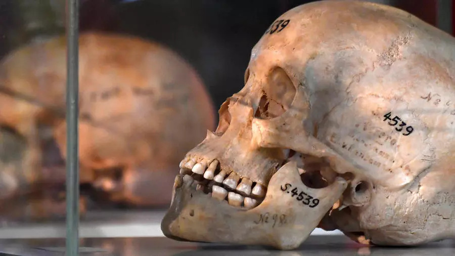 Germany recognises colonial ‘genocide’ in Namibia, commits €1bn in reparations