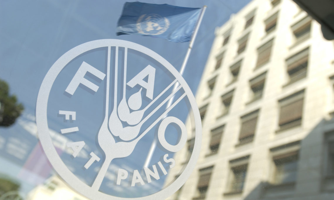 FAO launches initiative to boost greening of African cities