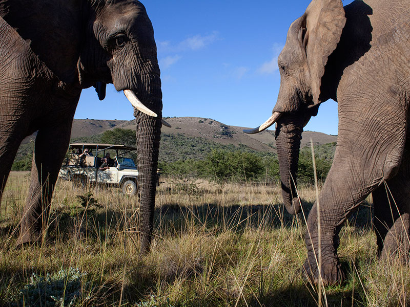 African tourism ministers pledge to work together to revitalise tourism industry