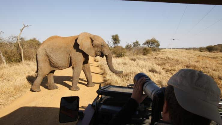 Charity CEO warns of the impact of Covid on conservation in Africa
