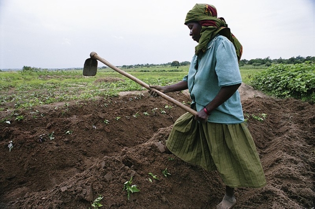 UN agency grants 150 mln USD for family farming in Angola