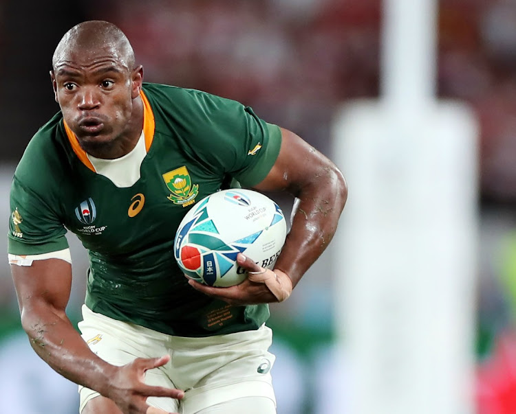 Springboks beat Lions 27-9 to set up series decider