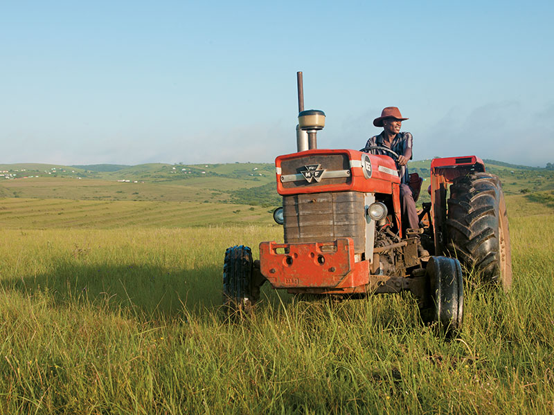 South Africa is losing a record number of farmers – Report