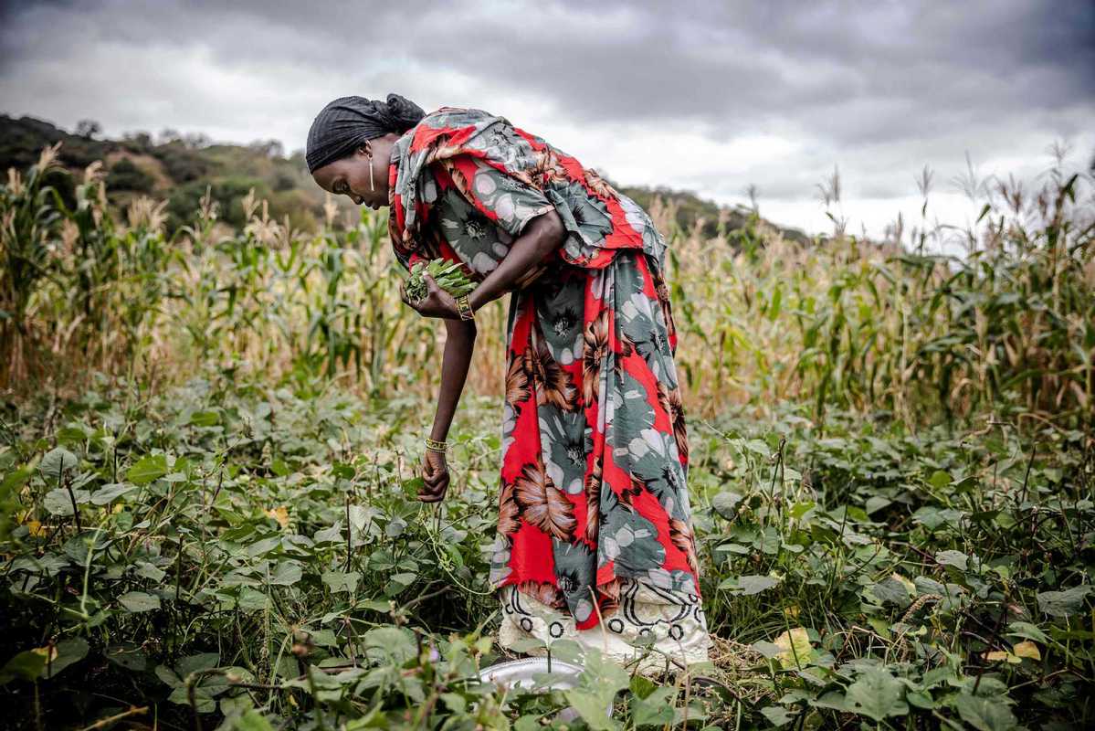 Agriculture a post-pandemic priority for Africa