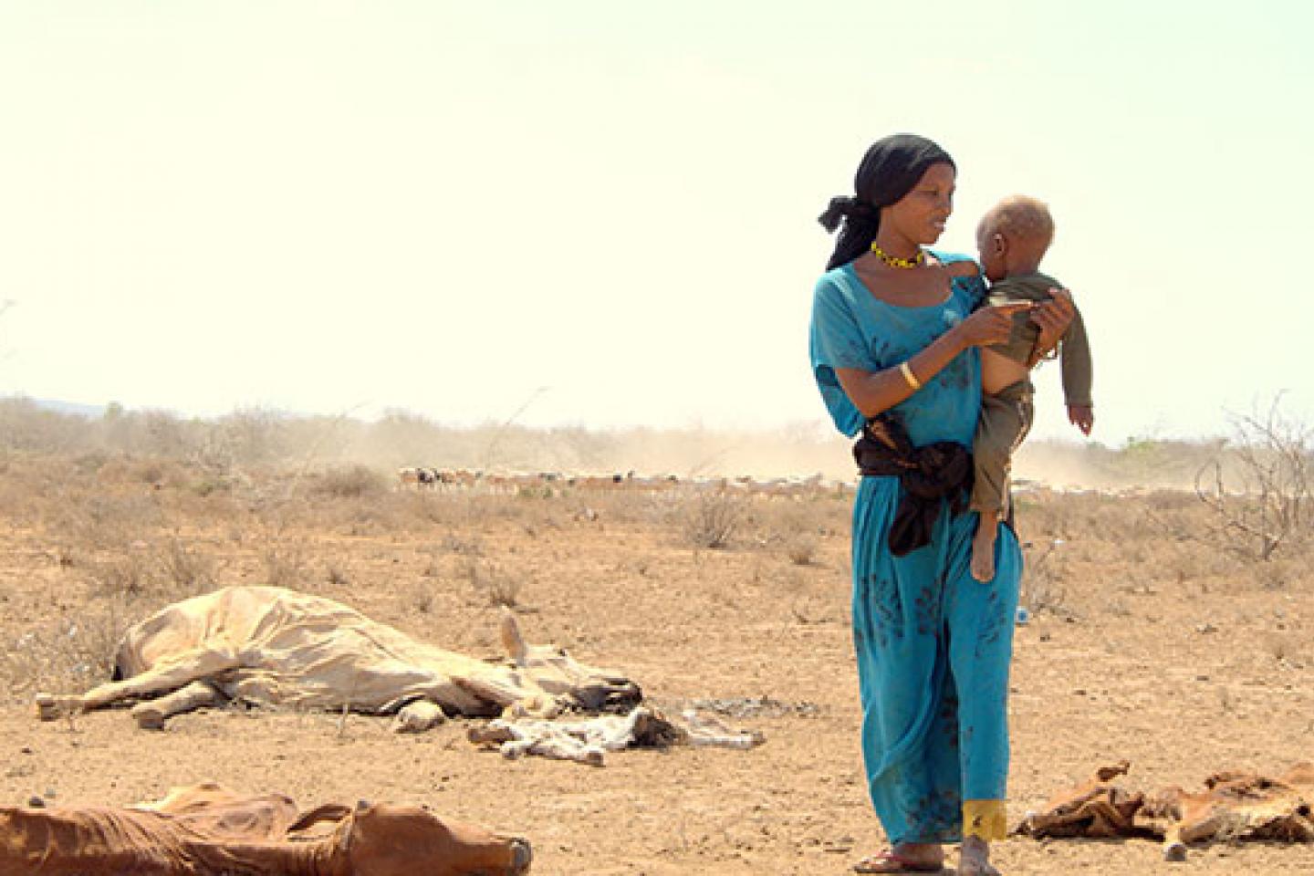 Government sets aside Sh1.2 billion for drought intervention in November