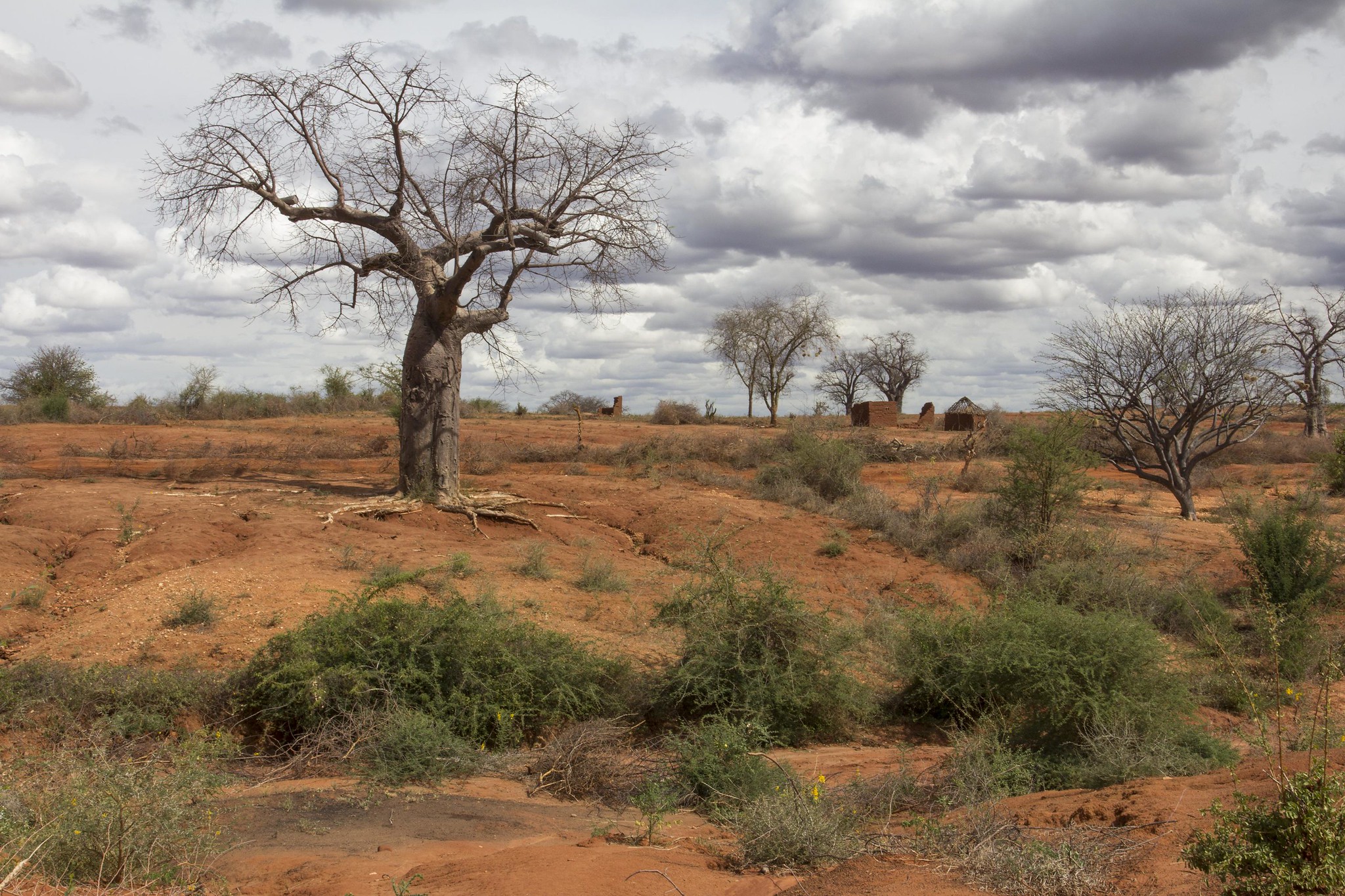 Climate Finance at COP26: Key issues for Africa