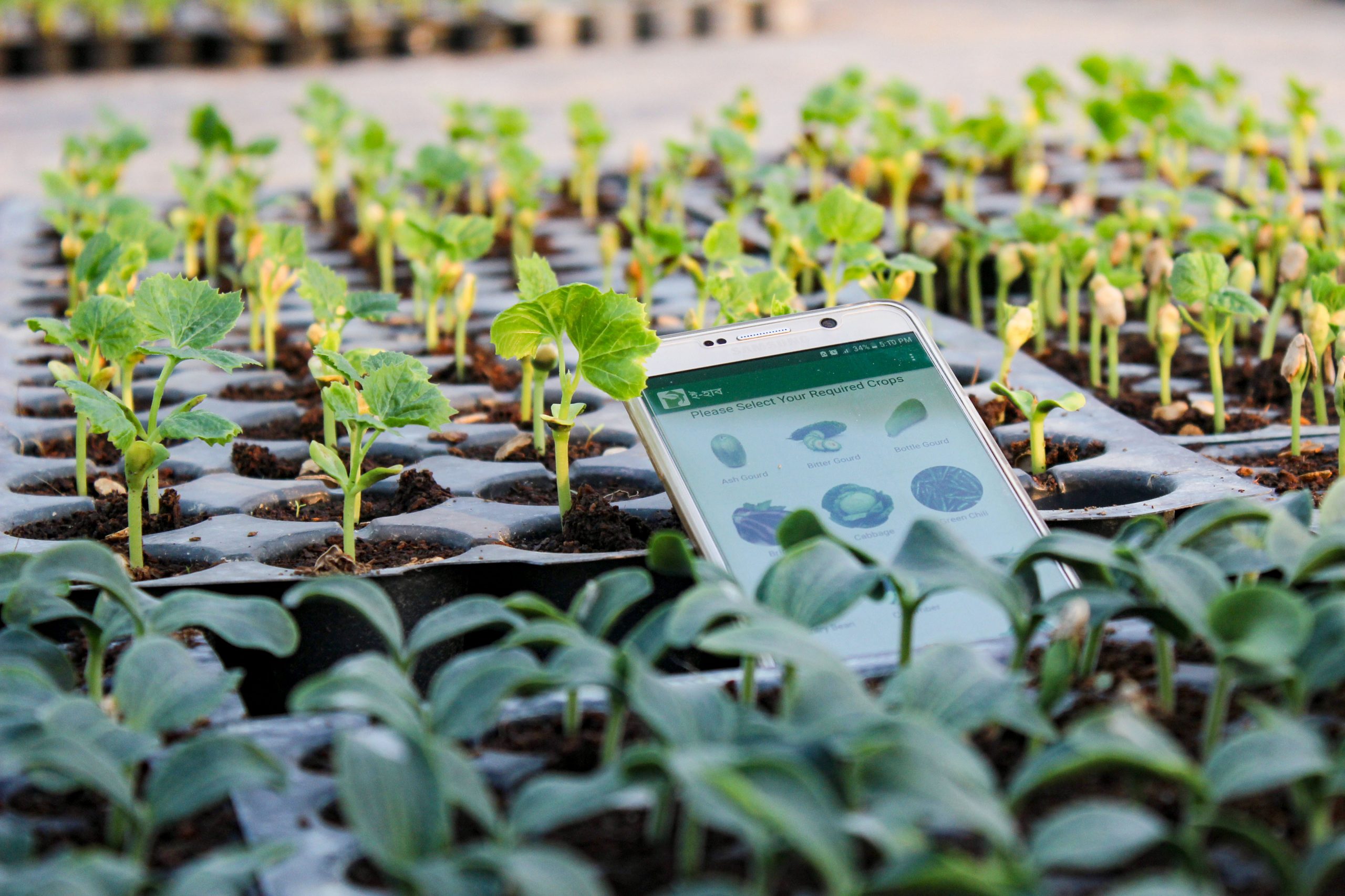Young Namibians seeking to transform agriculture through innovation