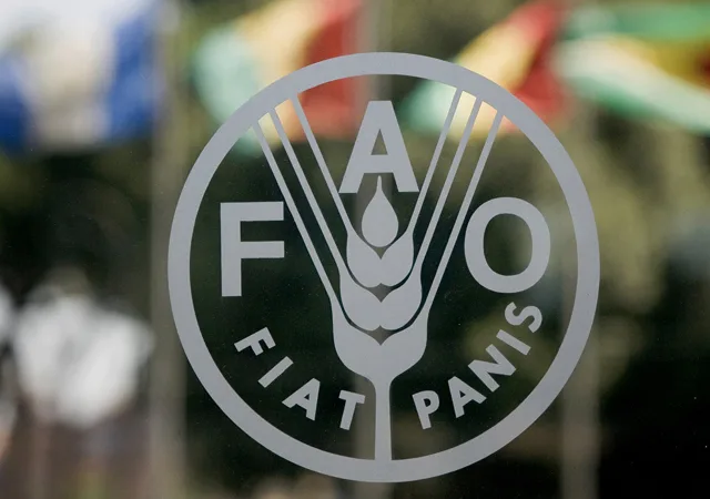 FAO launches radio program on climate-smart agriculture in Somalia
