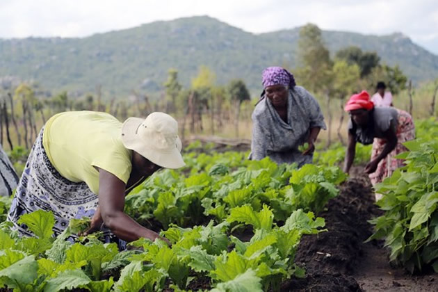 Time to change course: The future is in Agroecology