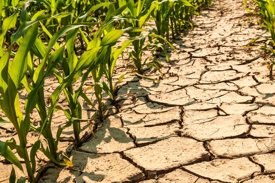 Kenyan campaigners say financing key to deliver climate justice