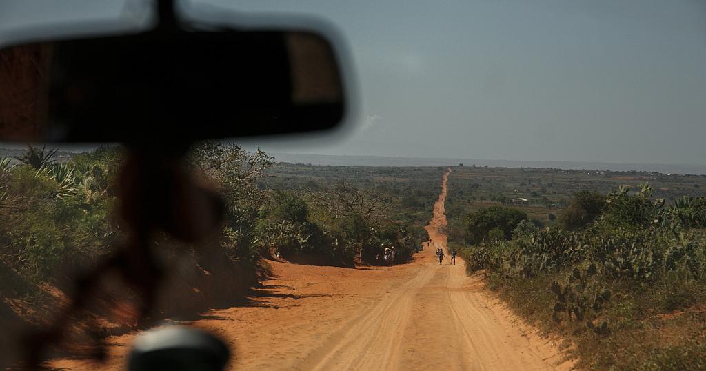 Madagascar’s habitat at risk due to climate change