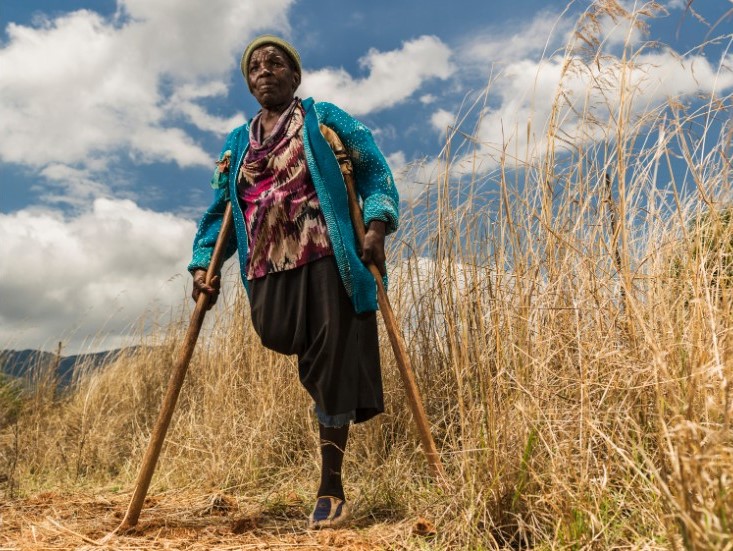 Fight to rid Zimbabwe of the colonial legacy of landmines bears fruit