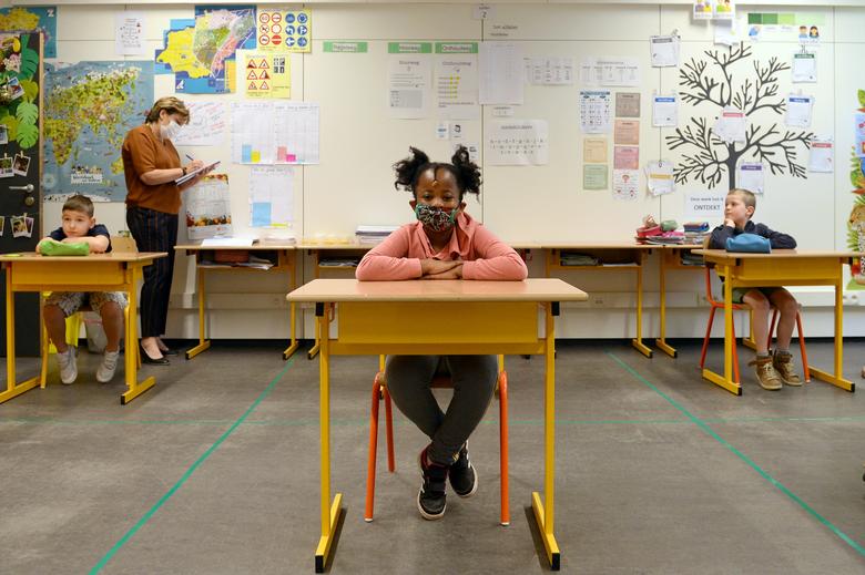 What role should the private sector play in education?