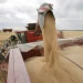 LONG READ: Africa braces for food price inflation as Russia-Ukraine war continues