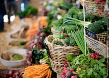 Invest in Africa’s food systems to avoid future crisis
