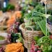Invest in Africa’s food systems to avoid future crisis