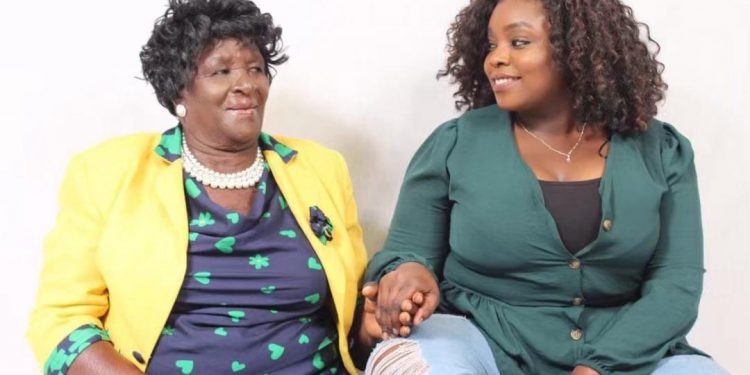 Zimbabweans abroad switch to food delivery apps to support family at home