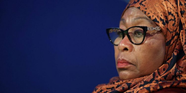 Tanzania launches mobile app for saving lives of rural pregnant women