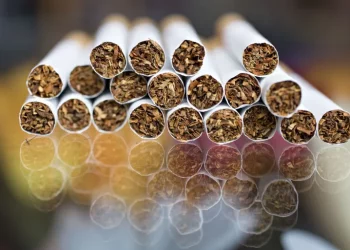 Tobacco industry causing huge environmental damage, WHO warns
