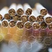 Tobacco industry causing huge environmental damage, WHO warns
