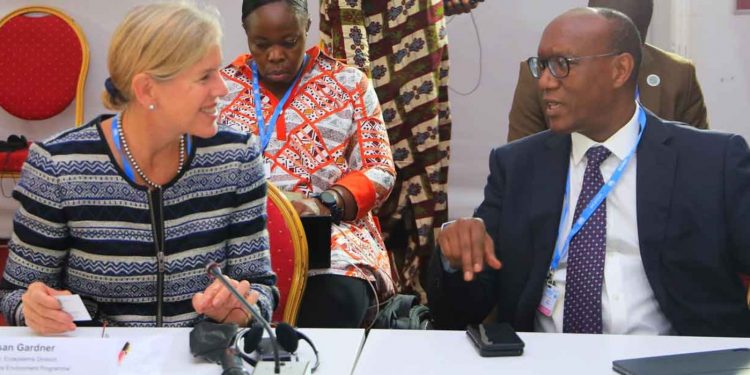 COP 15: A story of hope emerges around Africa’s ‘audacious’ Great Green Wall