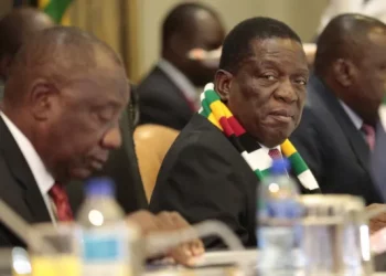 African leaders to attend 2022 World Economic Forum in Davos