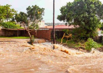 Towards an integrated and climate-resilient Africa and a just energy transition