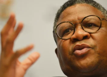 South Africa working to revive rail as backbone of transport system: Minister