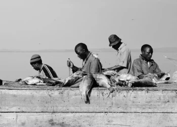 Demand for locally-produced fish opening up a multi-billion dollar market in Africa