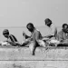 Demand for locally-produced fish opening up a multi-billion dollar market in Africa