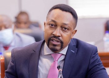 Zimbabwean Leading Exec Busisa Moyo urges African diaspora investment to lead FDI