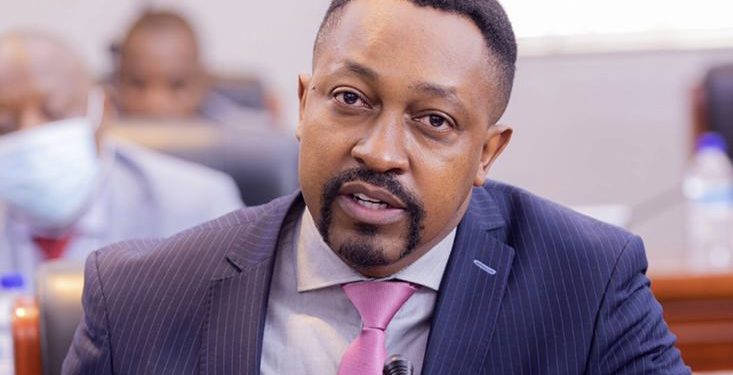 Zimbabwean Leading Exec Busisa Moyo urges African diaspora investment to lead FDI