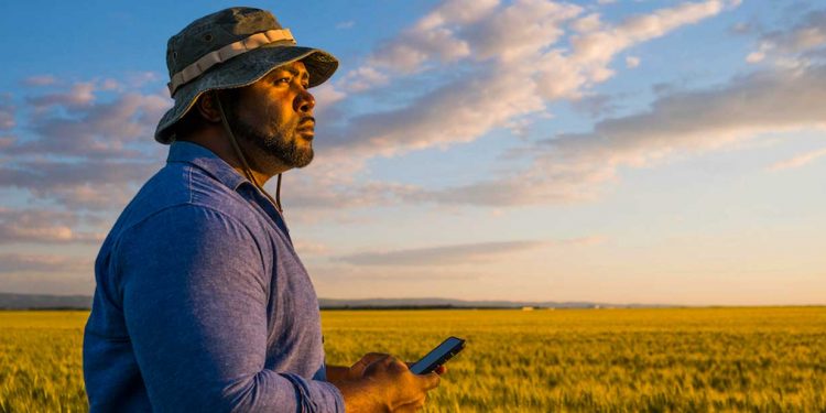 Africa’s leading financial institution will avert looming food crisis
