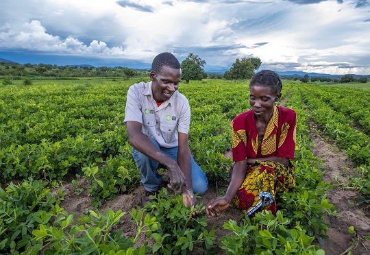 AU to extend insurance to agriculture, green energy sectors