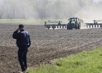 Agriculture is the most important part of the Green Revolution