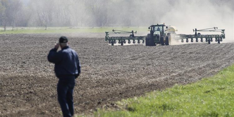 Agriculture is the most important part of the Green Revolution