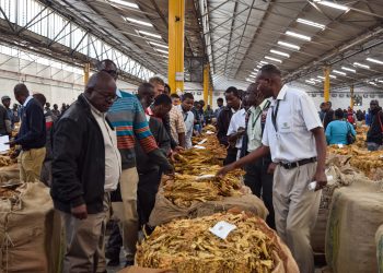 Zimbabwe sells 187 mln kg of tobacco leaf at end of 2022 marketing season