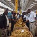 Zimbabwe sells 187 mln kg of tobacco leaf at end of 2022 marketing season