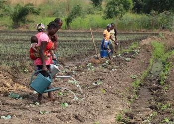 Women should be leading conservation efforts in Africa