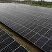 Nigerian businesses turn to solar sources amid high diesel costs
